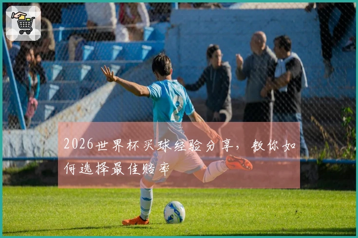 2026世界杯买球经验分享，教你如何选择最佳赔率