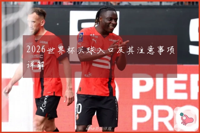 2026世界杯买球入口及其注意事项详解