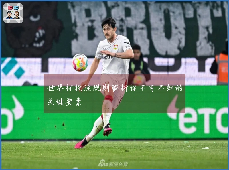 世界杯投注规则解析你不可不知的关键要素