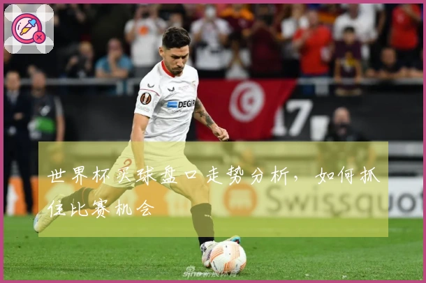 世界杯买球盘口走势分析，如何抓住比赛机会