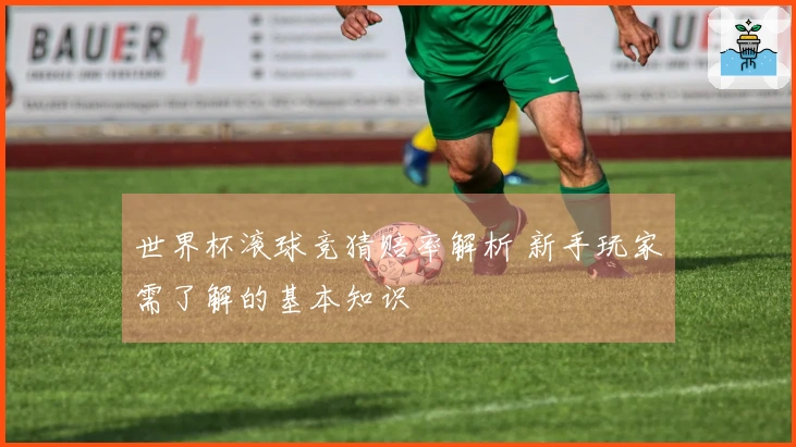世界杯滚球竞猜赔率解析 新手玩家需了解的基本知识