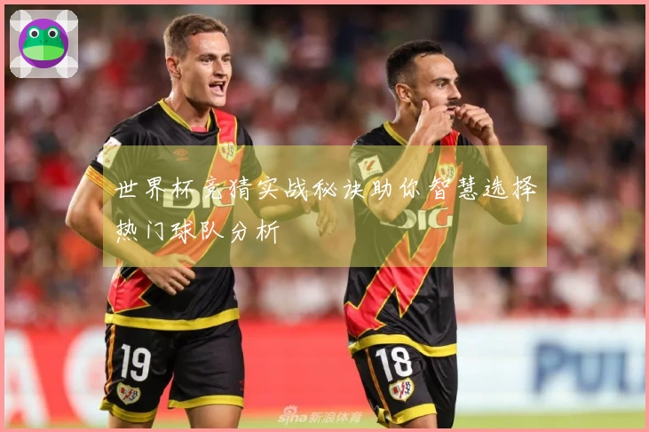 世界杯竞猜实战秘诀助你智慧选择热门球队分析