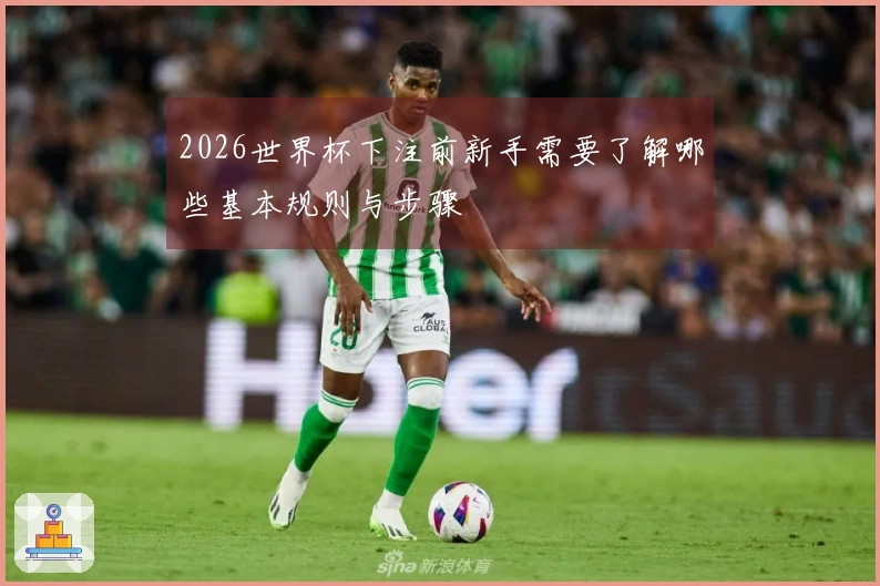 2026世界杯下注前新手需要了解哪些基本规则与步骤