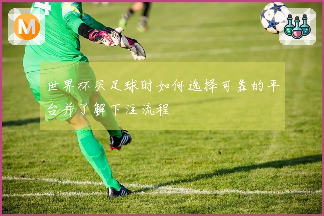 世界杯买足球时如何选择可靠的平台并了解下注流程