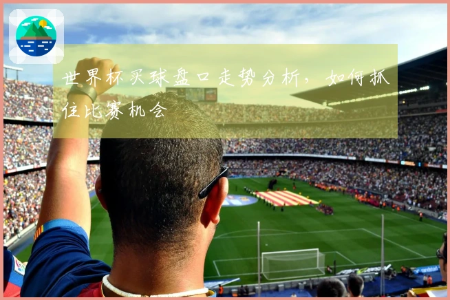 世界杯买球盘口走势分析，如何抓住比赛机会