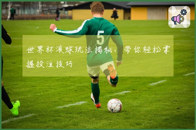 世界杯滚球玩法揭秘，带你轻松掌握投注技巧