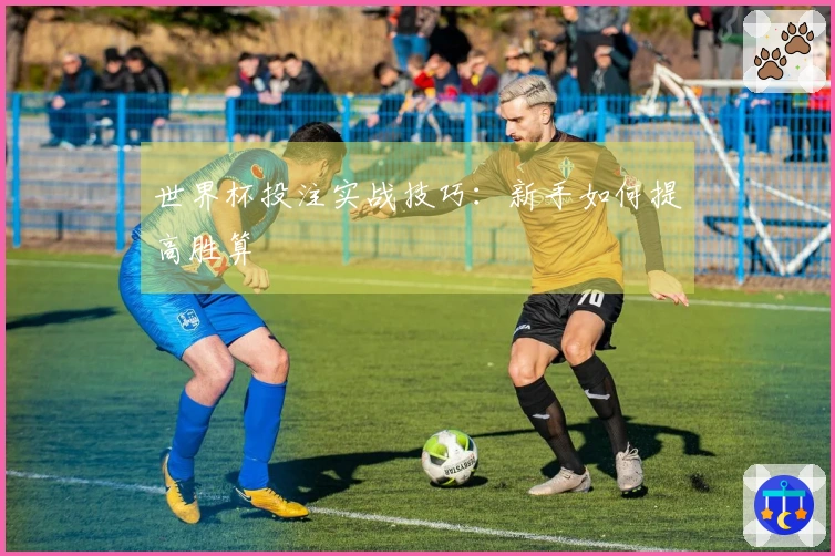 世界杯投注实战技巧：新手如何提高胜算
