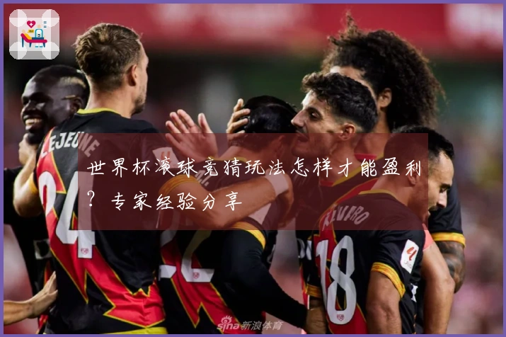 世界杯滚球竞猜玩法怎样才能盈利？专家经验分享