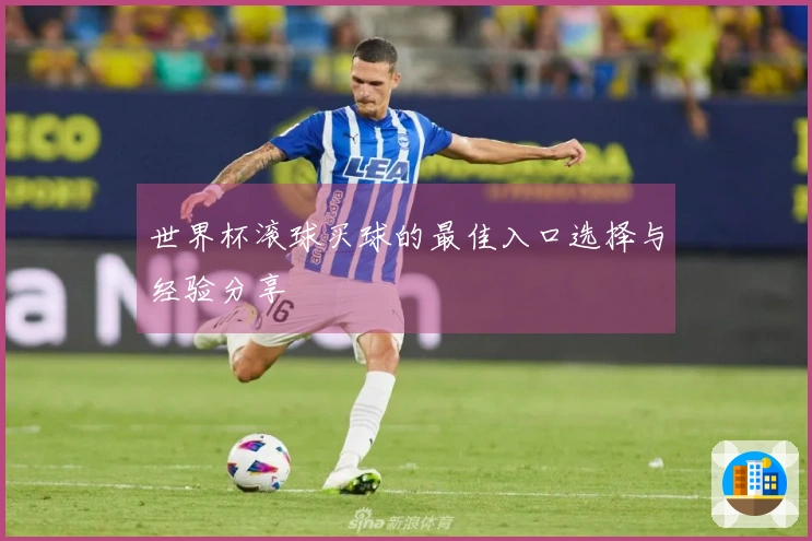 世界杯滚球买球的最佳入口选择与经验分享