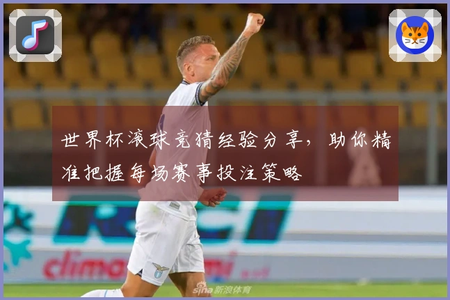 世界杯滚球竞猜经验分享，助你精准把握每场赛事投注策略